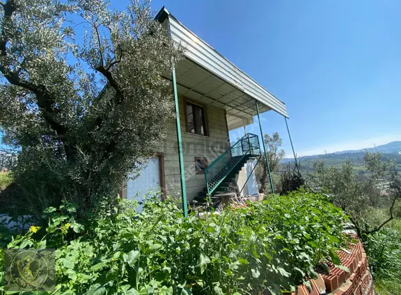 İstanbul-bursa Yolu Üzeri Satılık Bağ Evi Hobi Bahçesi 1