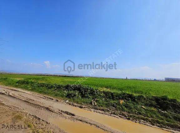 Balıkesir Altıeylül Çandır Da Yatırım Fırsatı Satılık Tarla 2