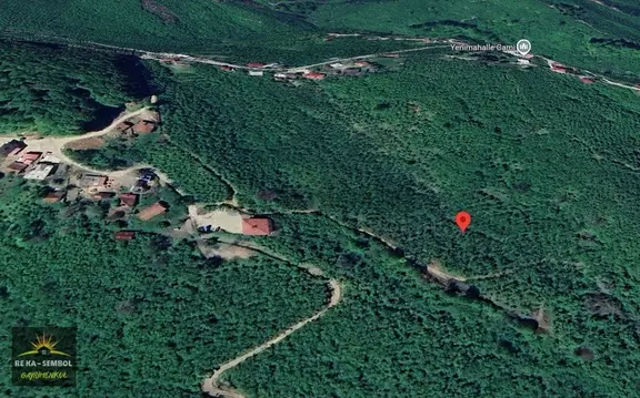 Satılık 17 Dönüm Fındık Bahçesi-kocaali/kestanepınarı 1