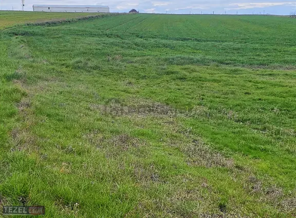 Saray Kurtdere Mahallesinde Tek Tapu 980 Metre Fiyat 690 Bin 1