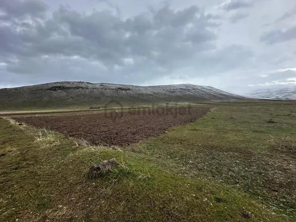 Ağrı Patnos'ta Satılık Tarla 1
