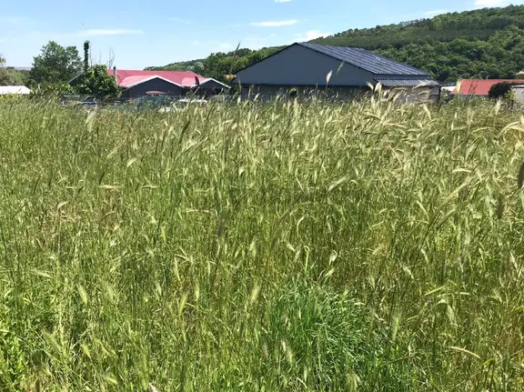 Çatalca İnceğiz'de Doğa Manzaralı 692 M² Hisseli Ve Muvafakatnameli Satılık Tarla 2