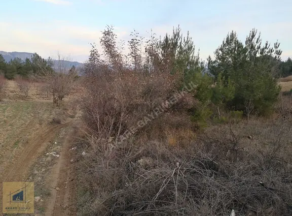 Bilecik Söğüt Küre Köyü'nde 2046m² Kadastro Yollu Tarla 2
