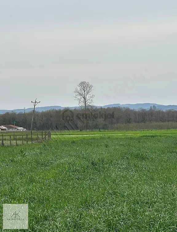 Köy Merkezinde Yerleşim Alanına 100 Metre 970 M² Tarla 1