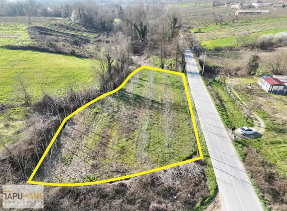 Tapuhane'den Hallaç Köyünde 2000 M2 Asfalt Cepheli Satılık Arsa 2