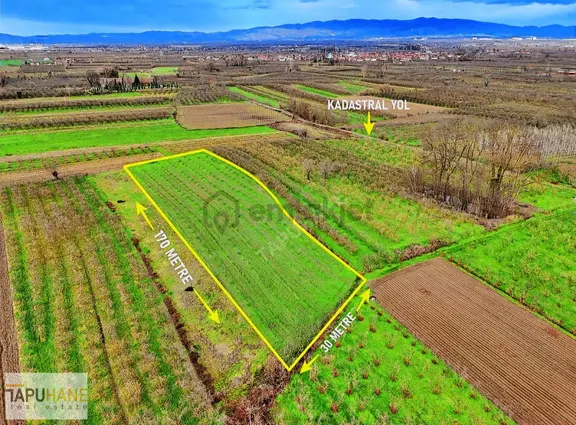Tapuhaneden Çayırbaşında 4952m2 Tarla