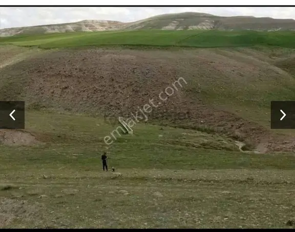 Araç İle Takas Yapılır Sahibinden Tek Tapu Satlik Tarla 2.042 1