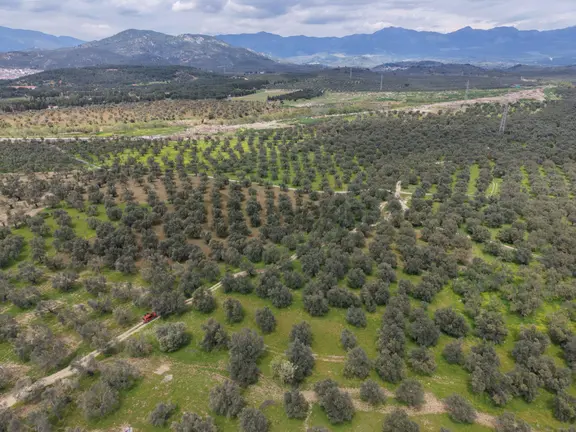 ▀▄mera Emlaktan Gazi İlyas Mh. Hastane Yakını 210m2 Zeytinlik 2