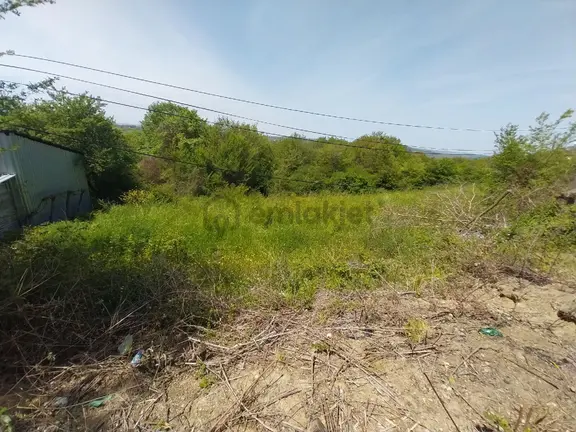 Kandıra Topluca Ana Yola Cephe %40 İmarlı Arsa 1