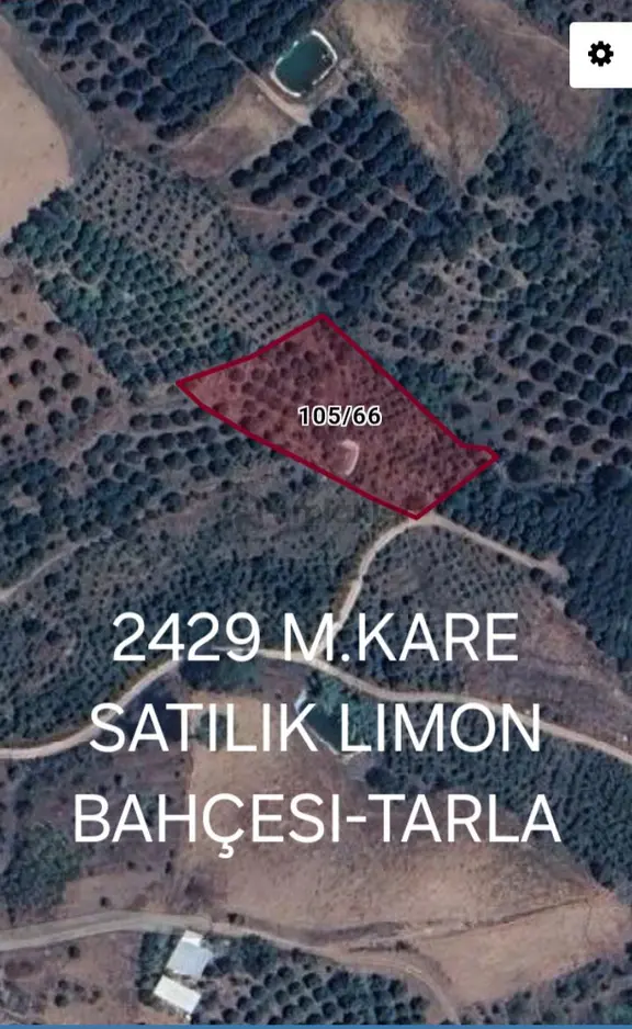 Mersin Erdemli Dağlı Mahallesinde 2429 M.kare Müstakil Tapulu Satılık Limon Bahçesi 1