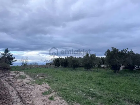 Şarköy Çınarlıda Köy İçi İmarlı Deniz Manzaralı Arsa 1