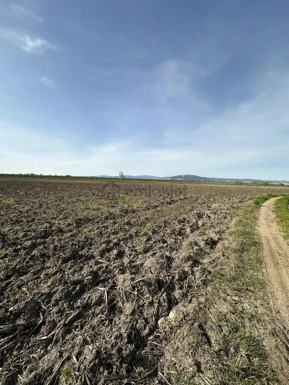 Karacabey Canbalı Mahallesinde Satılık Kupon Arazi 1