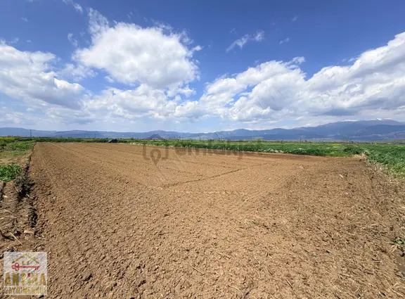 Antika Gayrimenkulden Asfalta Cepheli 2.500 M² Satılık Tarla 2