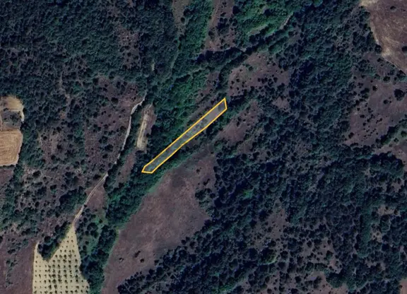 Bilecik Gölpazarı Yatırımlık & Hobiye Uygun 1.056 M² Bahçe 2