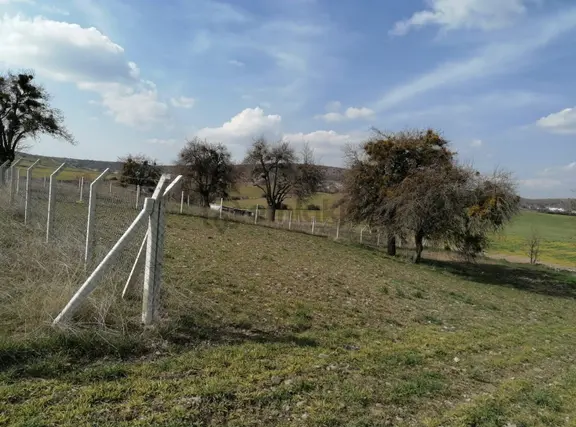 Murat Türkmen'den Acil_satılık Ayaş_ortabereket'te 1000-m2_tapulu_bahçe Fiyatı_düştü 1