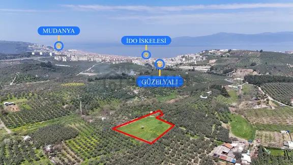 Bursa Mudanya Güzelyalı Eğitim Mahallesinde Satılık Tarla 2