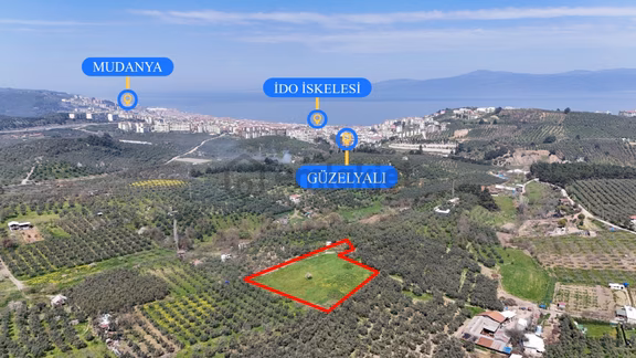 Bursa Mudanya Güzelyalı Eğitim Mahallesinde Satılık Tarla 1