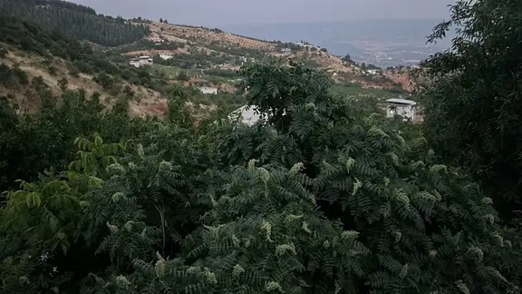 Farkmaraş Gayrimenkul Den Gafarlı Da Satılık Bağ-bahçe 2