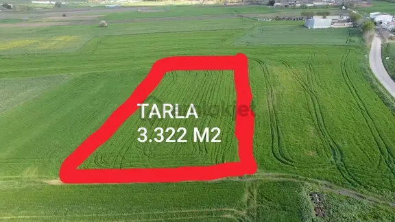 Balıkesır Gönen Paşa Çıftlık Mahallesı’nde 3322 Metre² Satılık Tarla 1