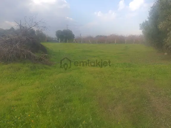 Kemalpaşa Ören 75.yıl Cumhuriyet Mahallesi'nde Satılık Tarla 2