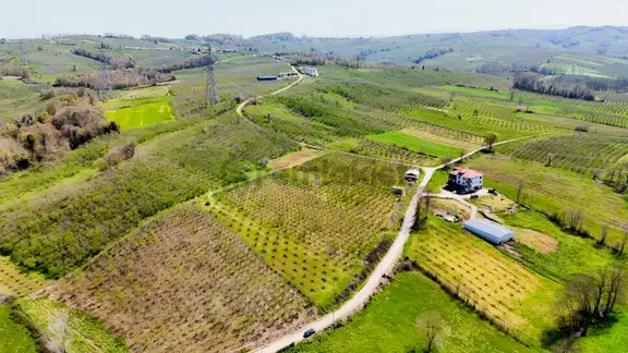 Tarcanlar'dan Sakarya Kaynarca Asfaltyol Cepheli 6.225 M² Tarla 1