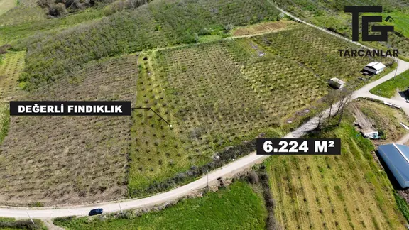 Tarcanlar'dan Sakarya Kaynarca Asfaltyol Cepheli 6.225 M² Tarla 2