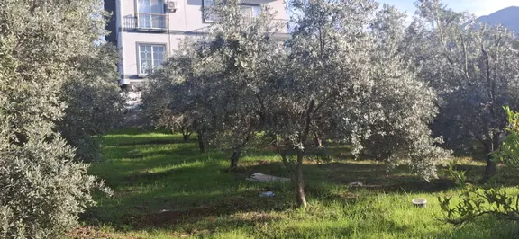 Fethiye Karaçulha Mah. İlkon'dan Satılık Arazi 2
