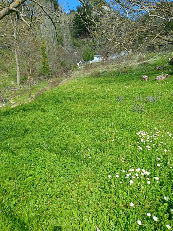 Kavacık Köyüne Yakın Acil Satılık Tek Tapu 817 M.kare Tarla 2