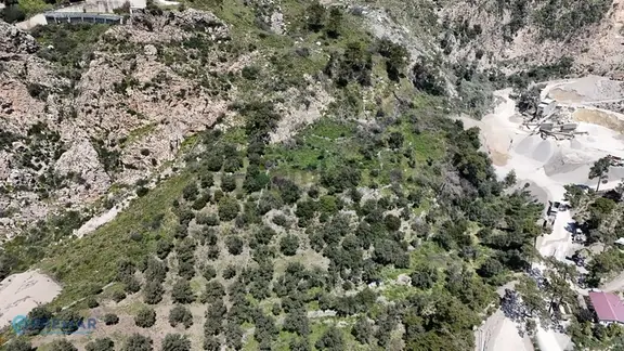 Datça Mesudiye'de Deniz Manzaralı 10.944m² Zeytinlik Yatırımı 2