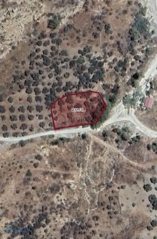 Datça Mesudiye'de Deniz Manzaralı 2163m² Zeytinlik Satılık Arsa 1