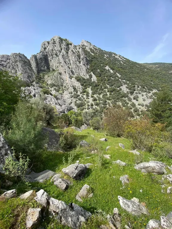 Anamur Ovabaşı Mah Satılık Tarla 2