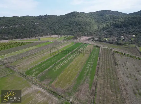 Güzelyurt Akdoğanda Yola Cepheli Tarla 1