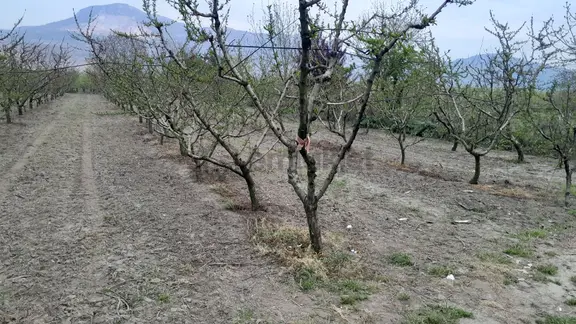 En İyi Yatırım Toprağa Olan Yatırımdır. İmara 2
