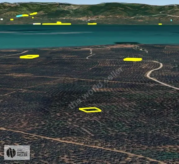 Sölözde Fırsat Fiyat Göl Manzaralı Zeytinlik 1