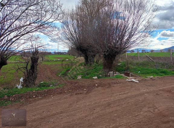 Suşehri Kemalpaşada 10.603 M² Yatırımlık Tarla 2