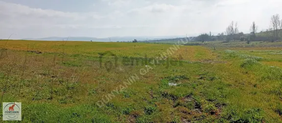 Çanakkale Biga Doğancı Köyünde 2921m2 Satılık Tarla 1