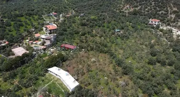 Canakkale Ayvacık Ahmetçe Denize Yakın Yatırımlık Zeytinlik 2