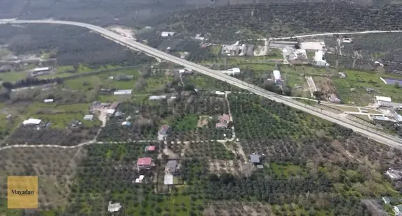 Mayadan Gyo Erdek Yalı'da Satılık Zeytinlik 1