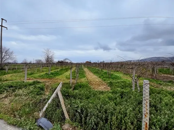 Turyap Erhan'dan Sanayi İmarlı Arsa.yeni Sanayi Bölgesinde. 2