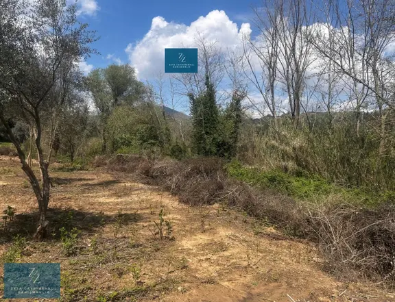 Seta Gayrimenkul |musluca'da Satılık 7266m² Tarla 2