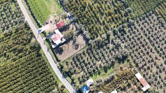 Kemalpaşa Ören 75.yıl Cumhuriyet'te Ana Yola Cephe 1.210 M2 Bağ 1