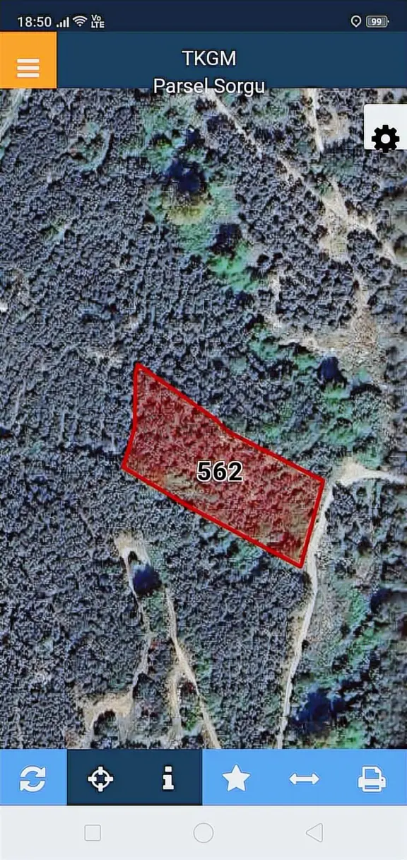 Erdek Ocaklar Da Satılık Zeytinlik 1