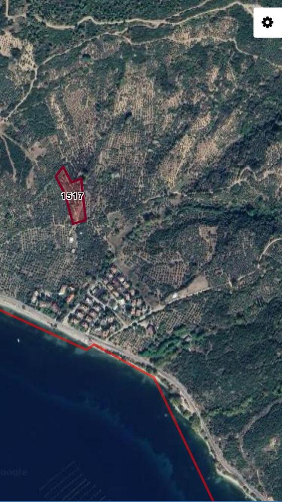 Erdek Narlı Da Satılık Zeytinlik 2