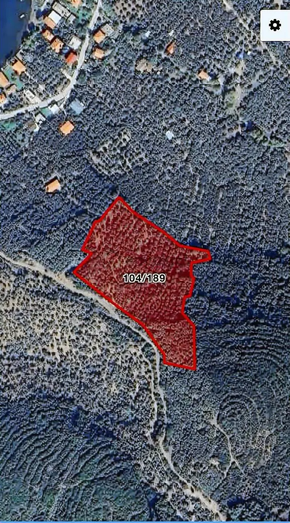 Erdek İlhanlar Da Deniz Manzaralı Satılık Zeytinlik 1