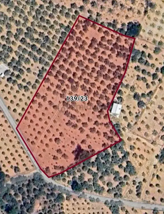 Sahibinden Torbalı Çakırbeylide Yola Cephe 11.457 M² Zeytinlik - Yatırımlık (fırsat) 2