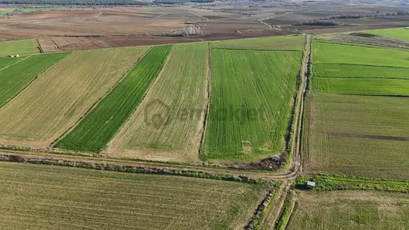 Ege Emlak'tan Şabanmera Köyünde Muhteşem Konumda Tarla 2