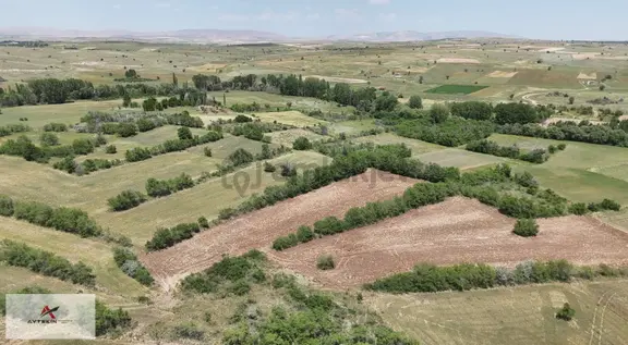 Akören Tülce Mahallesinde 4.911 M² Müstakil Tapulu Tarla 1