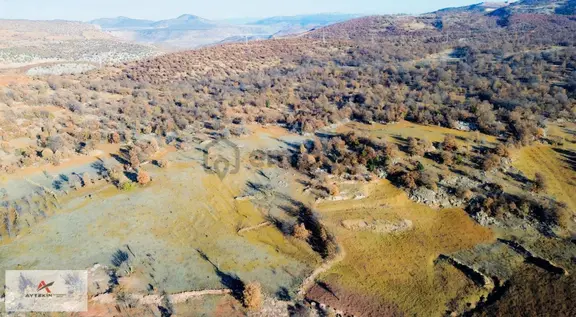 Bozkır Dereiçi Mahallesinde 264 M² Müstakil Tapulu Bağ