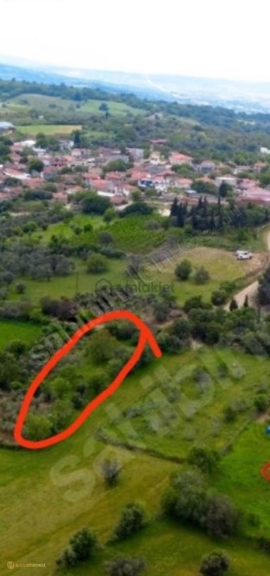 Çanakkale Lapseki Kangırlı 'da Satılık Yatırımlık Bağ/tarla 2