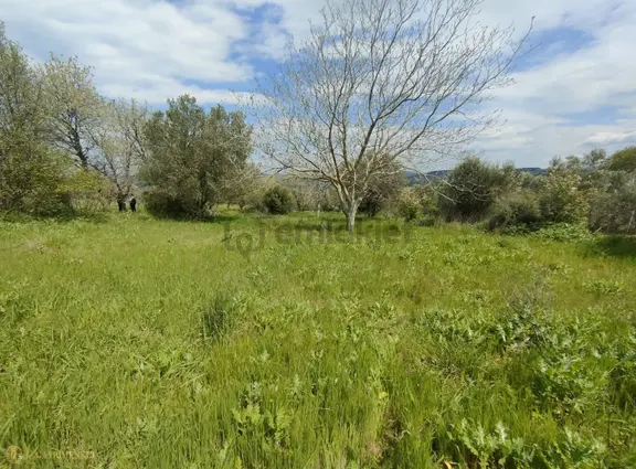 Çanakkale Lapseki Kangırlı 'da Satılık Yatırımlık Bağ/tarla 2